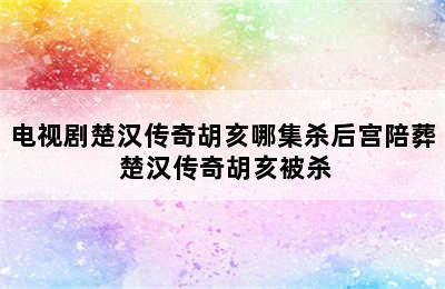 电视剧楚汉传奇胡亥哪集杀后宫陪葬 楚汉传奇胡亥被杀